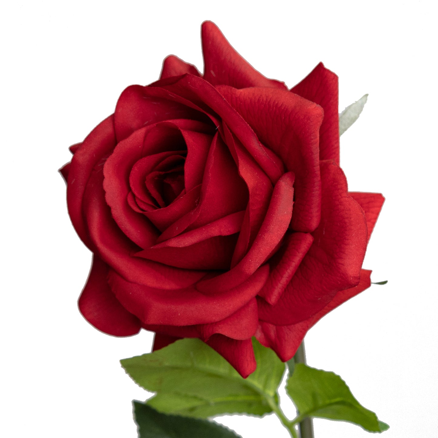 75cm Artificial Real Touch Single Rose Red