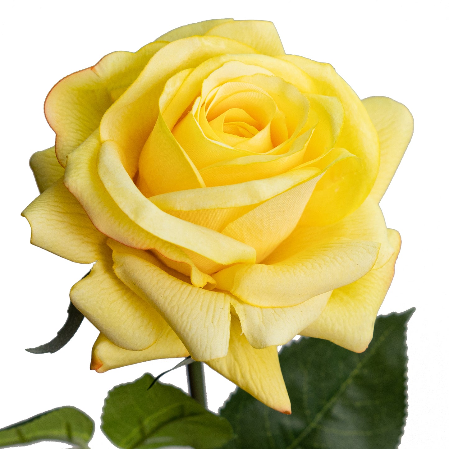 75cm Artificial Real Touch Single Rose Yellow