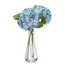Load image into Gallery viewer, Hortensia Hydrangea
