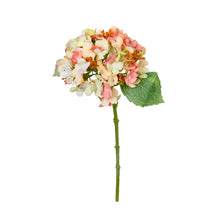 Load image into Gallery viewer, Hortensia Hydrangea
