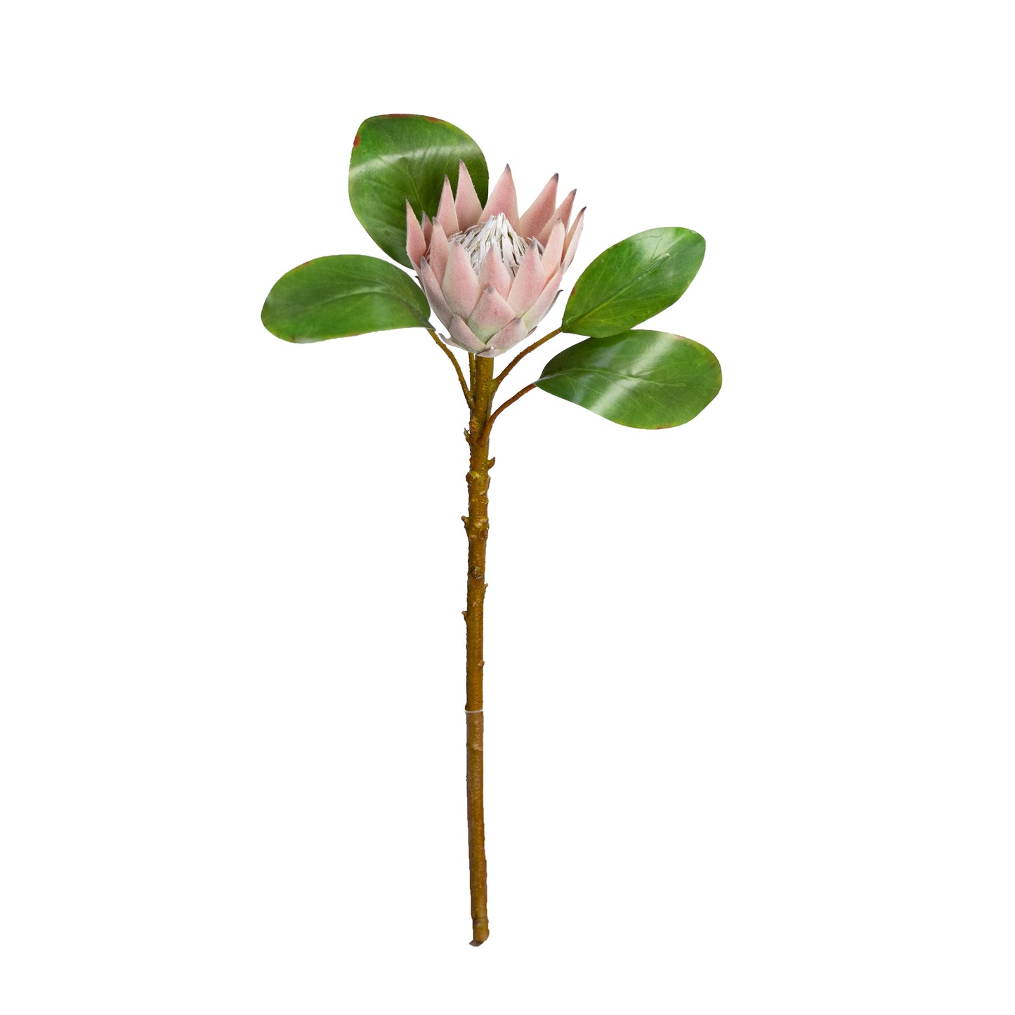 50cm Artificial Protea Pink