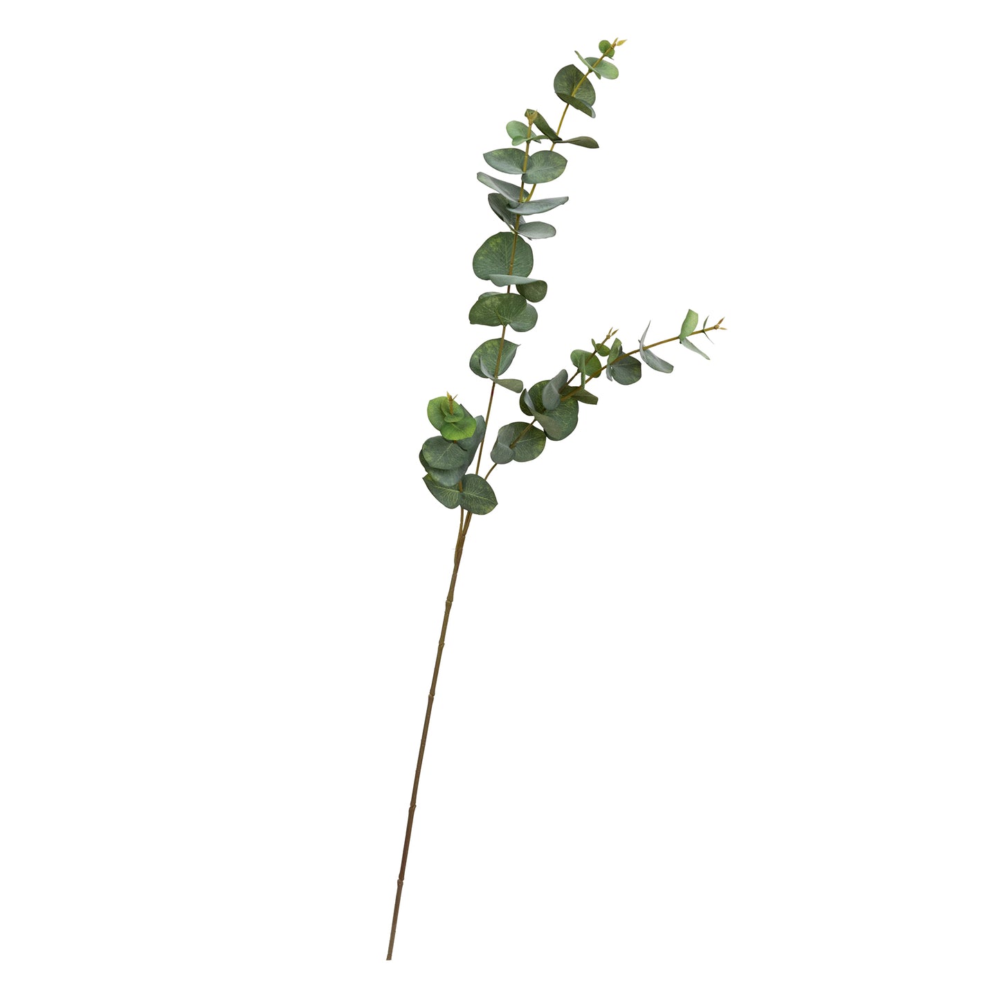 80CM EUCALYPTUS SPRAY