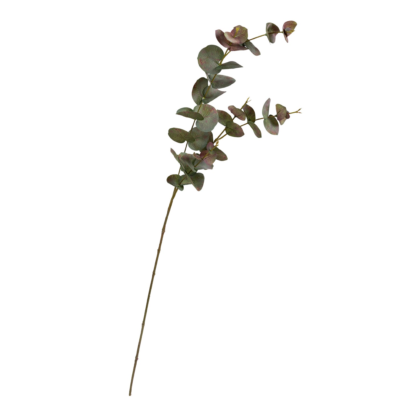 80CM EUCALYPTUS SPRAY