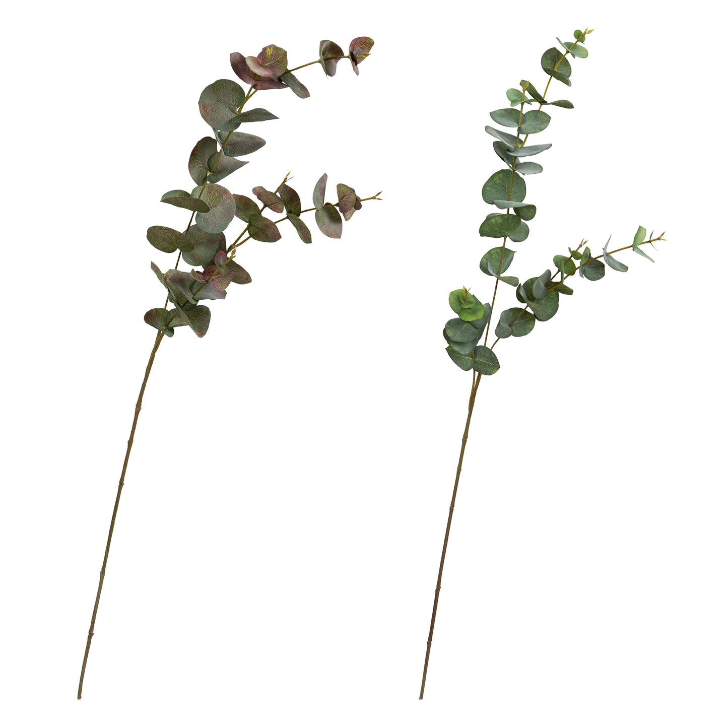 80CM EUCALYPTUS SPRAY
