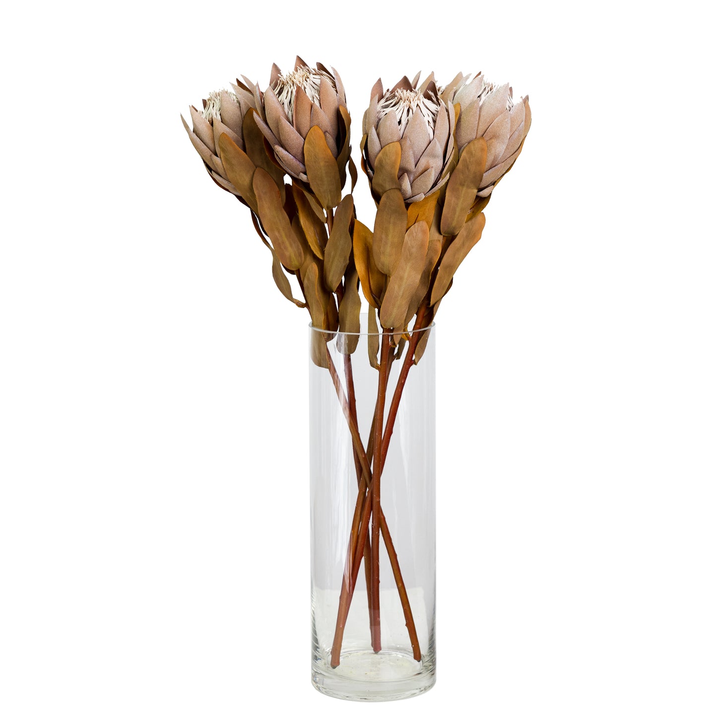 50cm Artificial Protea Coffee