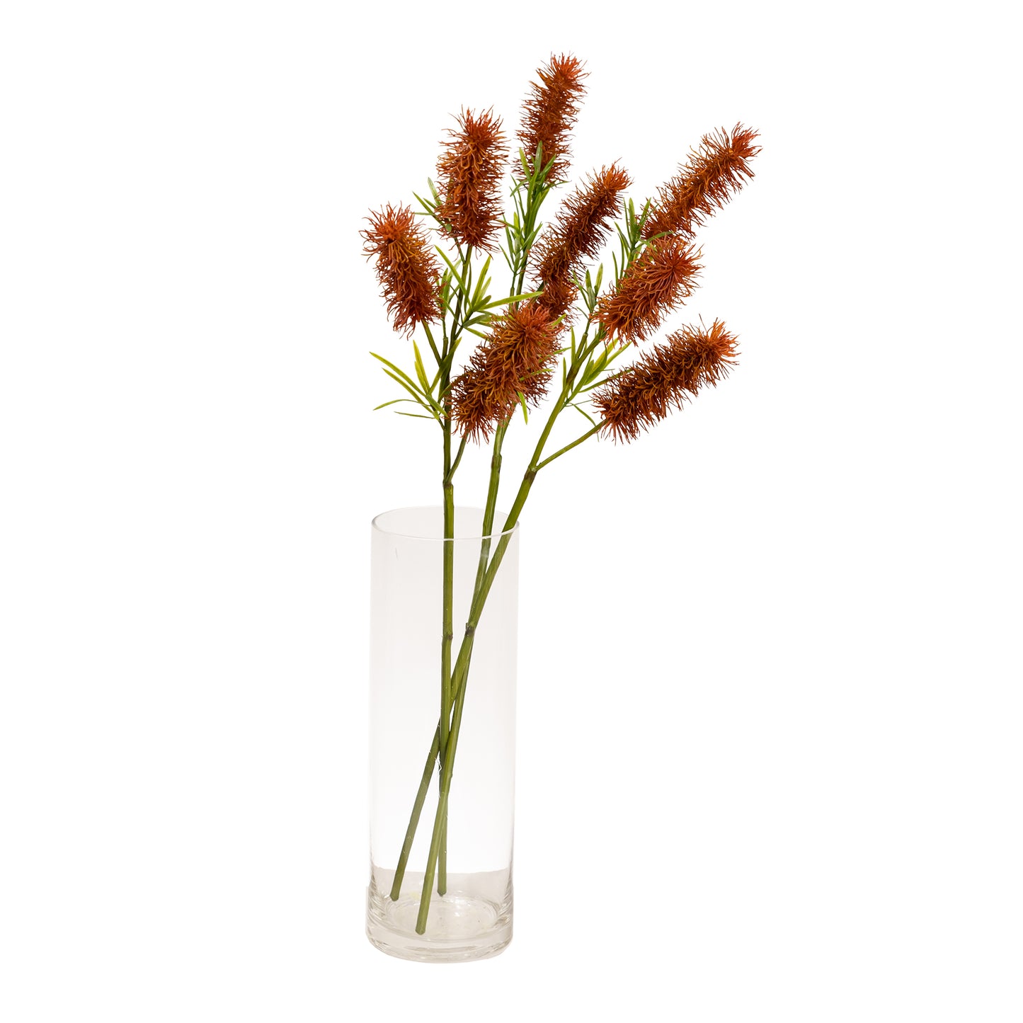 60cm Artificial Bottle Brush Brown