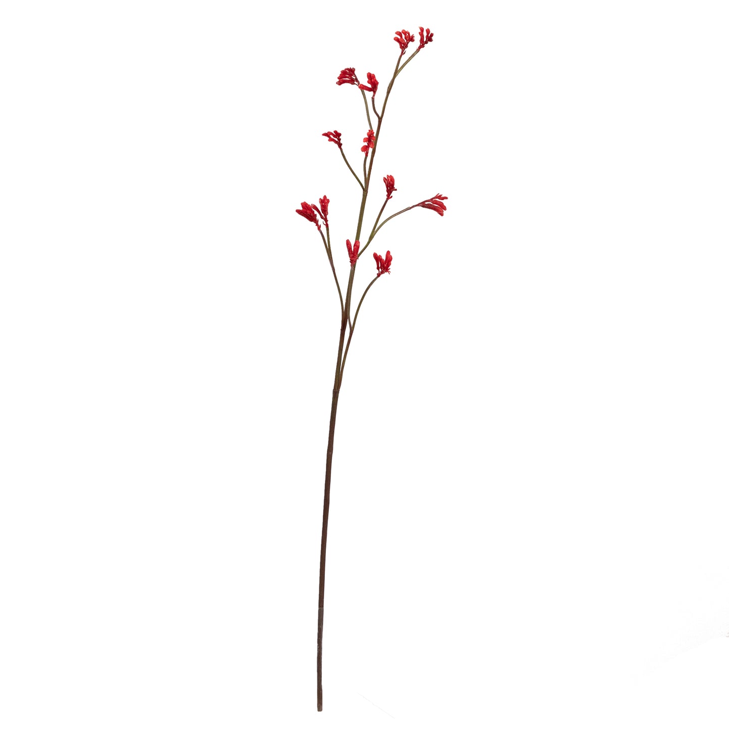 102cm Artificial Kangaroo Paw Spray