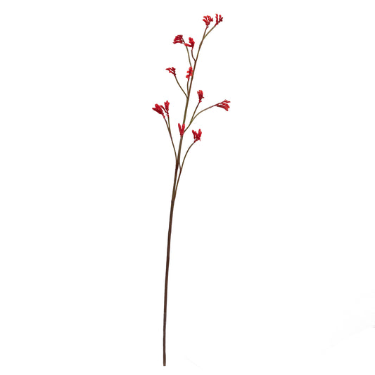 102cm Artificial Kangaroo Paw Spray