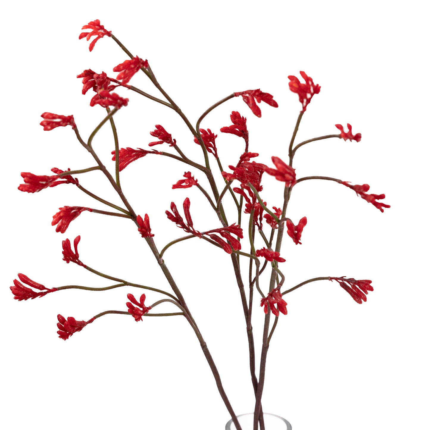 102cm Artificial Kangaroo Paw Spray