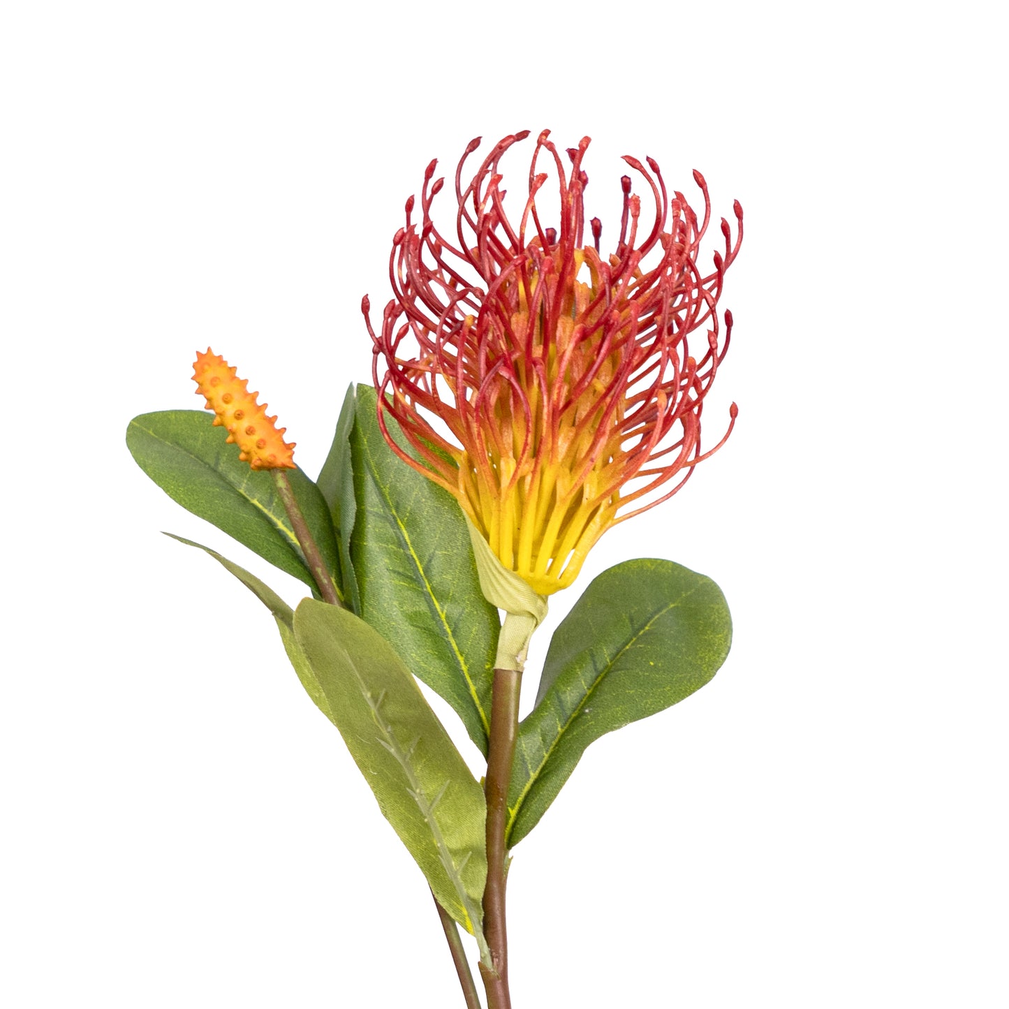 58cm Artificial Leucospermum Spray Red