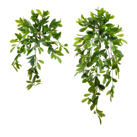 Laurel Leaf Hanging Bush