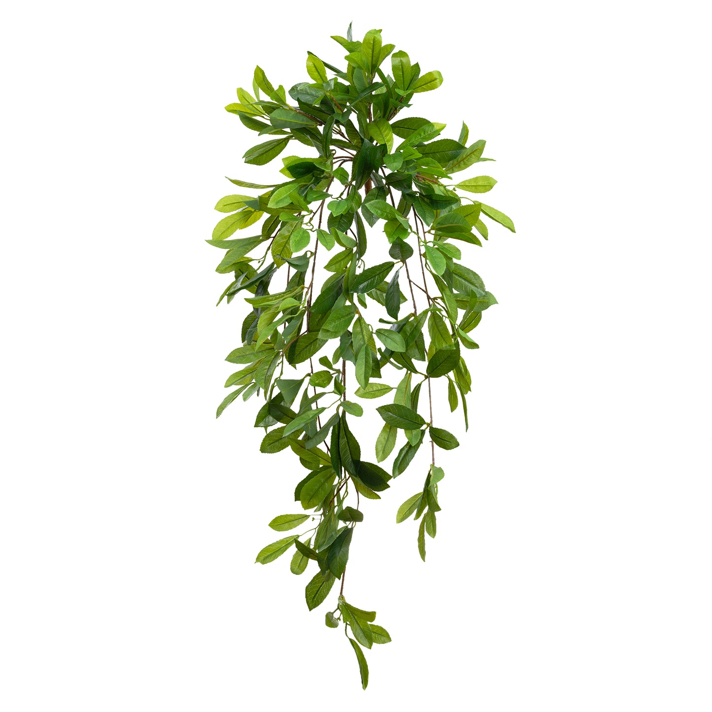 Laurel Leaf Hanging Bush