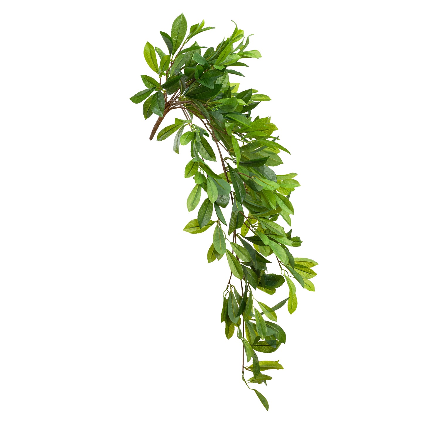 Laurel Leaf Hanging Bush