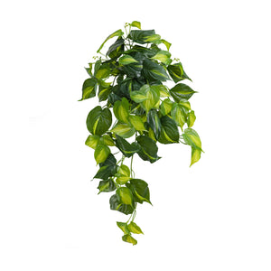 Real Touch Holland Philo Hanging Bush
