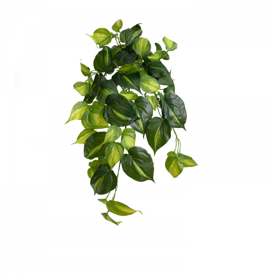 Real Touch Holland Philo Hanging Bush