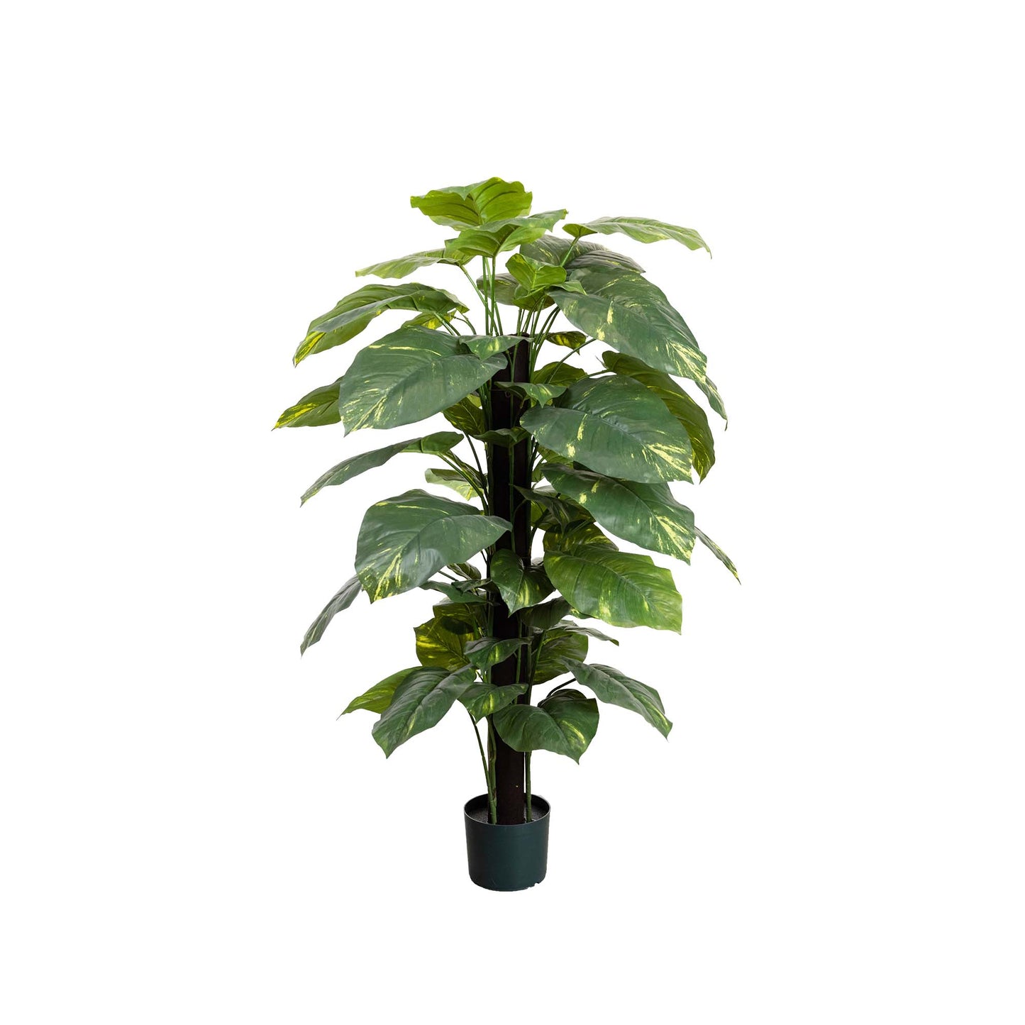 Glamorous Fusion 137cm Pothos on Pole - Artificial Flower Arrangements and Artificial Plants