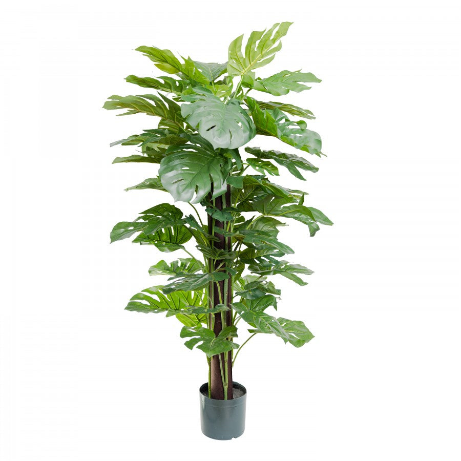 Glamorous Fusion 137cm Split Philo on Pole - Artificial Flower Arrangements and Artificial Plants