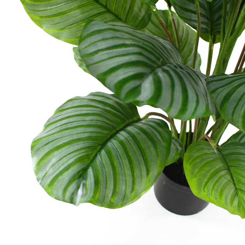 110cm Artificial Calathea Faux Plant in Pot