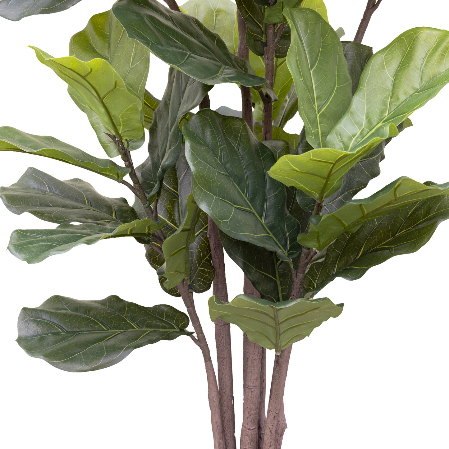 182cm Artificial Giant Fiddle Leaf Tree in Pot