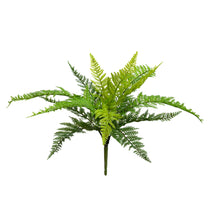 Load image into Gallery viewer, Leather Fern Bush
