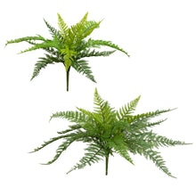 Load image into Gallery viewer, Leather Fern Bush
