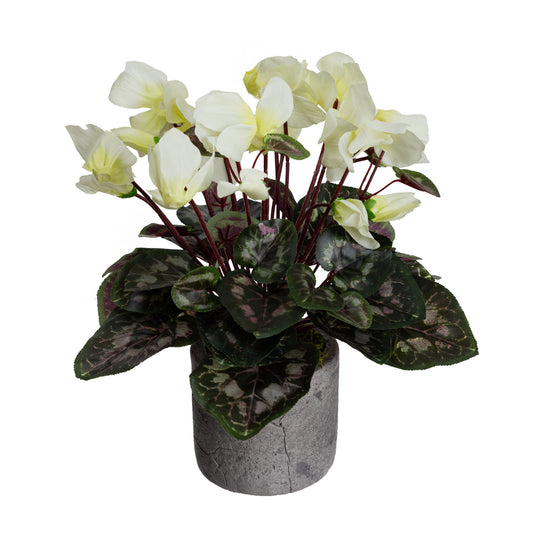 Glamorous Fusion Cyclamen in Pot - Artificial Flower Arrangements and Artificial Plants