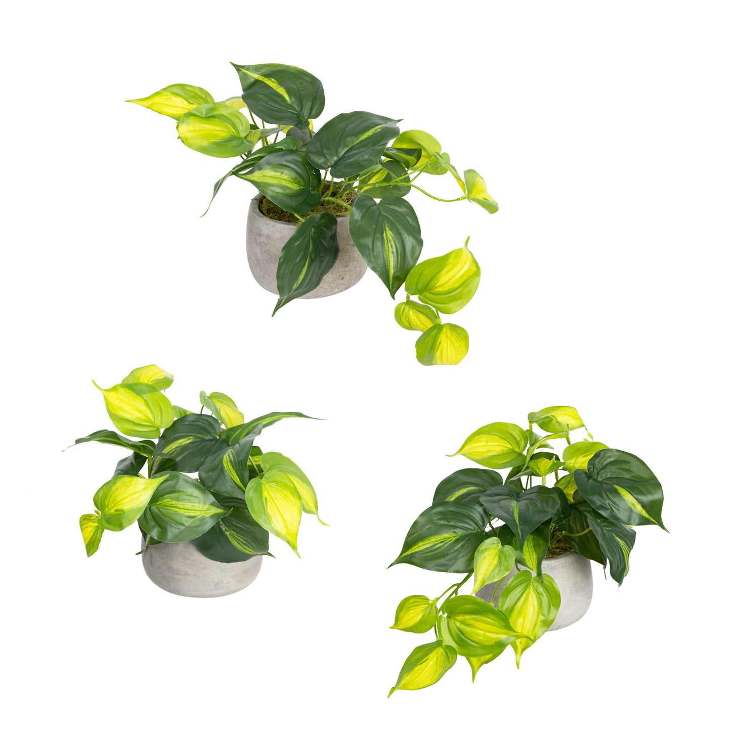 Glamorous Fusion Holland Bush in Pot Set - Artificial Flower Arrangements and Artificial Plants