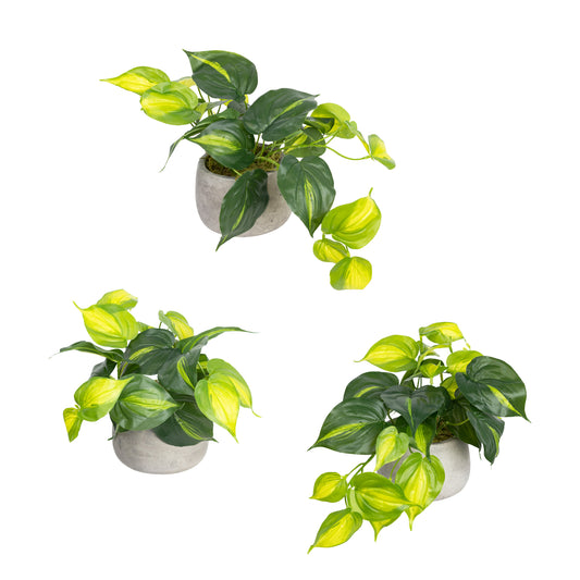 Glamorous Fusion Holland Bush in Pot Set - Artificial Flower Arrangements and Artificial Plants