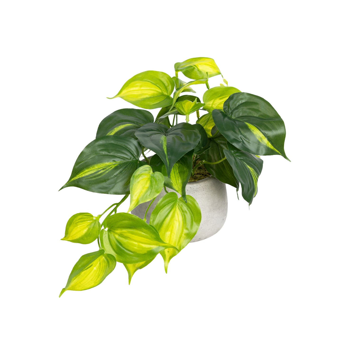 Glamorous Fusion Holland Bush in Pot Set - Artificial Flower Arrangements and Artificial Plants