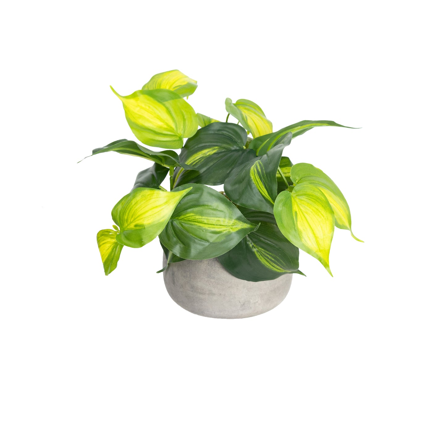 Glamorous Fusion Holland Bush in Pot Set - Artificial Flower Arrangements and Artificial Plants