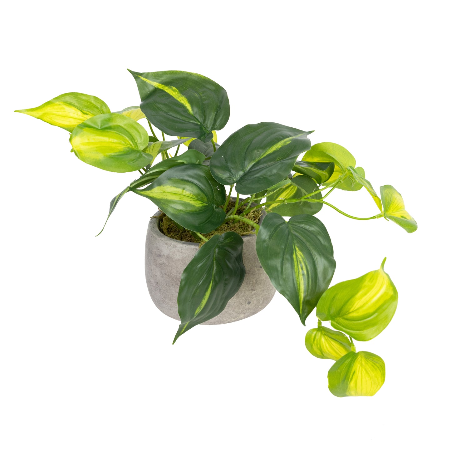 Glamorous Fusion Holland Bush in Pot Set - Artificial Flower Arrangements and Artificial Plants