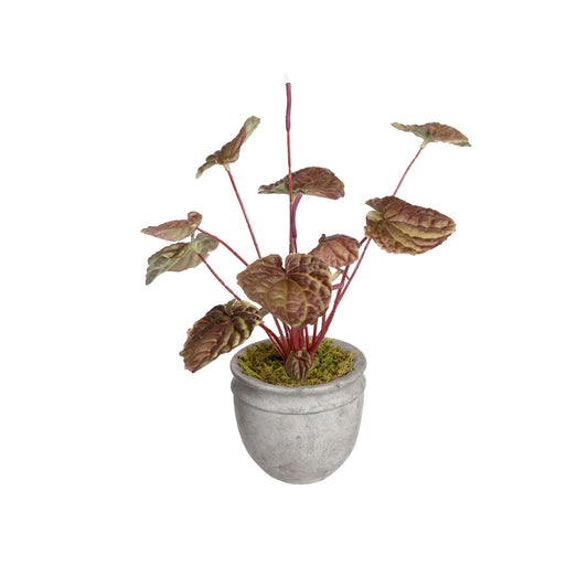 Glamorous Fusion Begonia Bush in Pot - Artificial Flower Arrangements and Artificial Plants