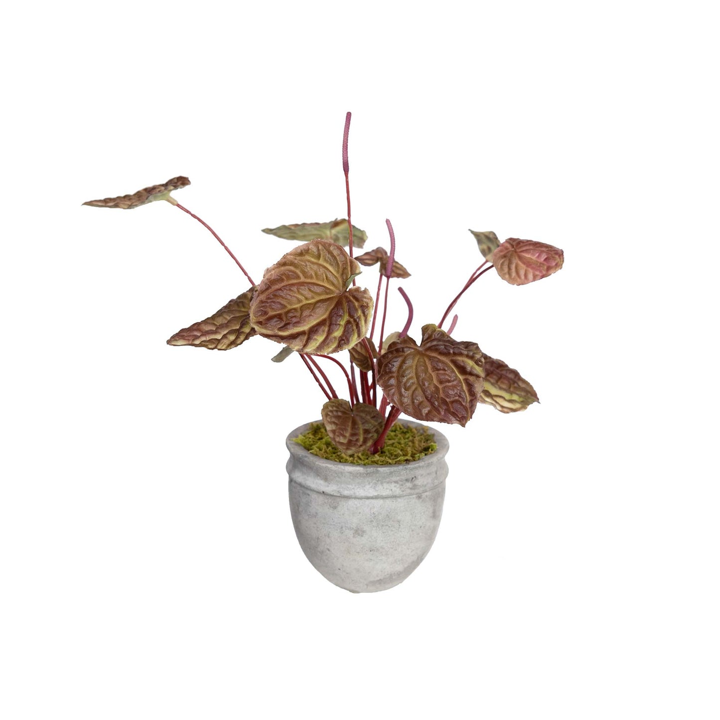 Glamorous Fusion Begonia Bush in Pot - Artificial Flower Arrangements and Artificial Plants