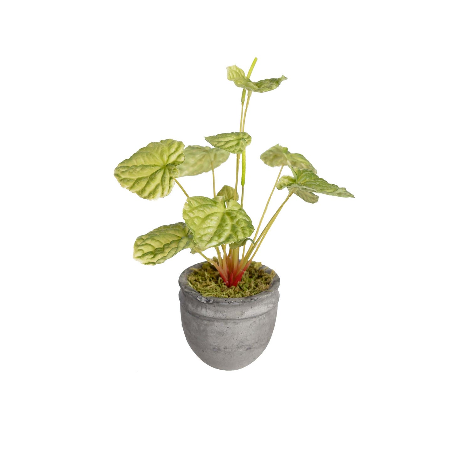 Glamorous Fusion Begonia Bush in Pot - Artificial Flower Arrangements and Artificial Plants