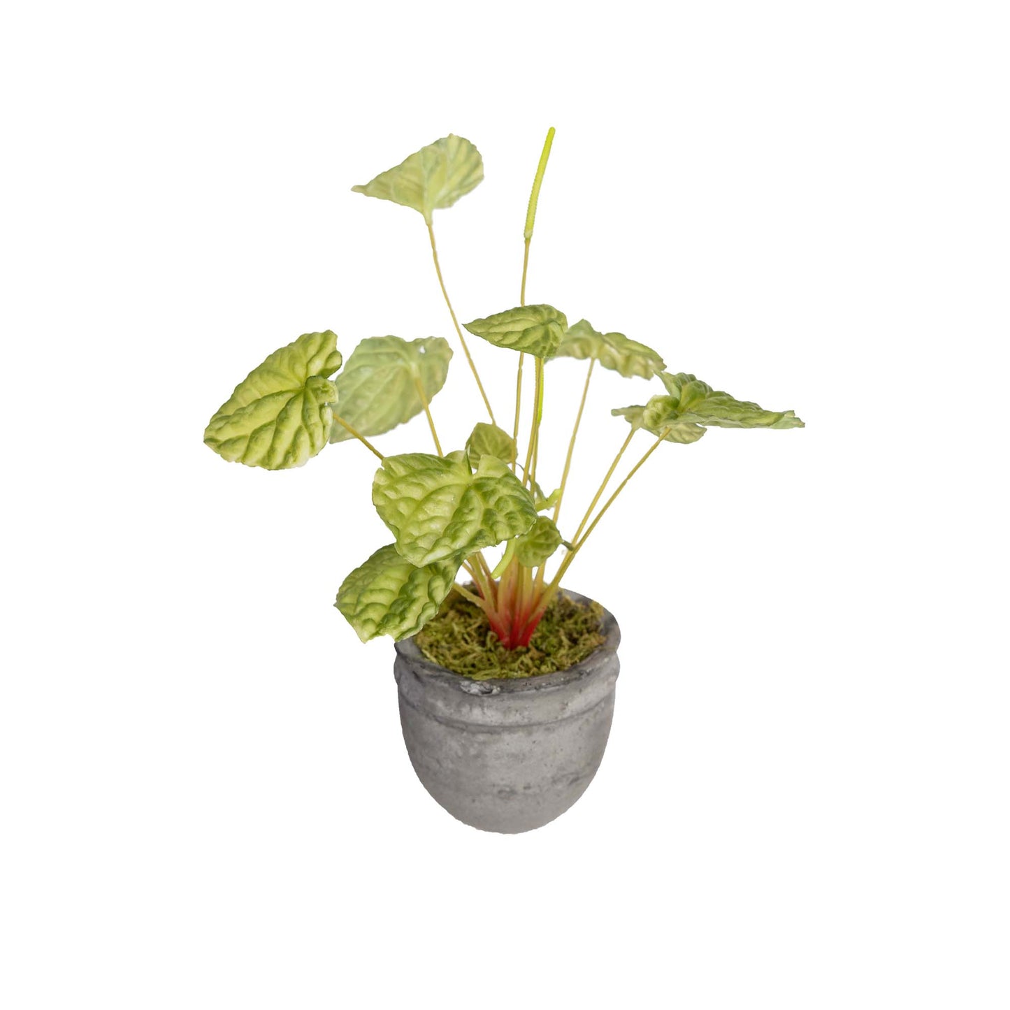 Glamorous Fusion Begonia Bush in Pot - Artificial Flower Arrangements and Artificial Plants