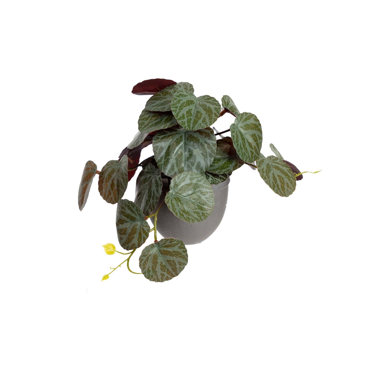 Glamorous Fusion Gerainium Bush in Pot - Artificial Flower Arrangements and Artificial Plants