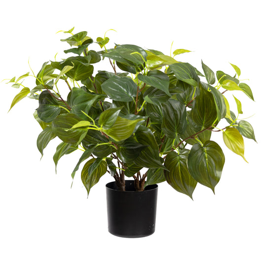 Glamorous Fusion 48cm Philo Mican Bush in Pot - Artificial Flower Arrangements and Artificial Plants