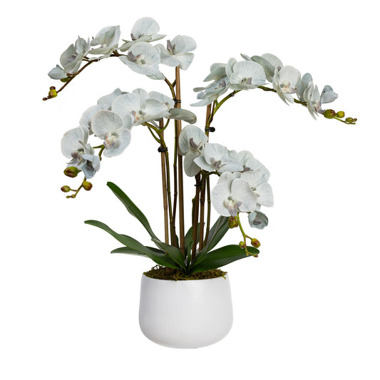 63cm Artificial Phalaenopsis Orchid in White Pot Grey