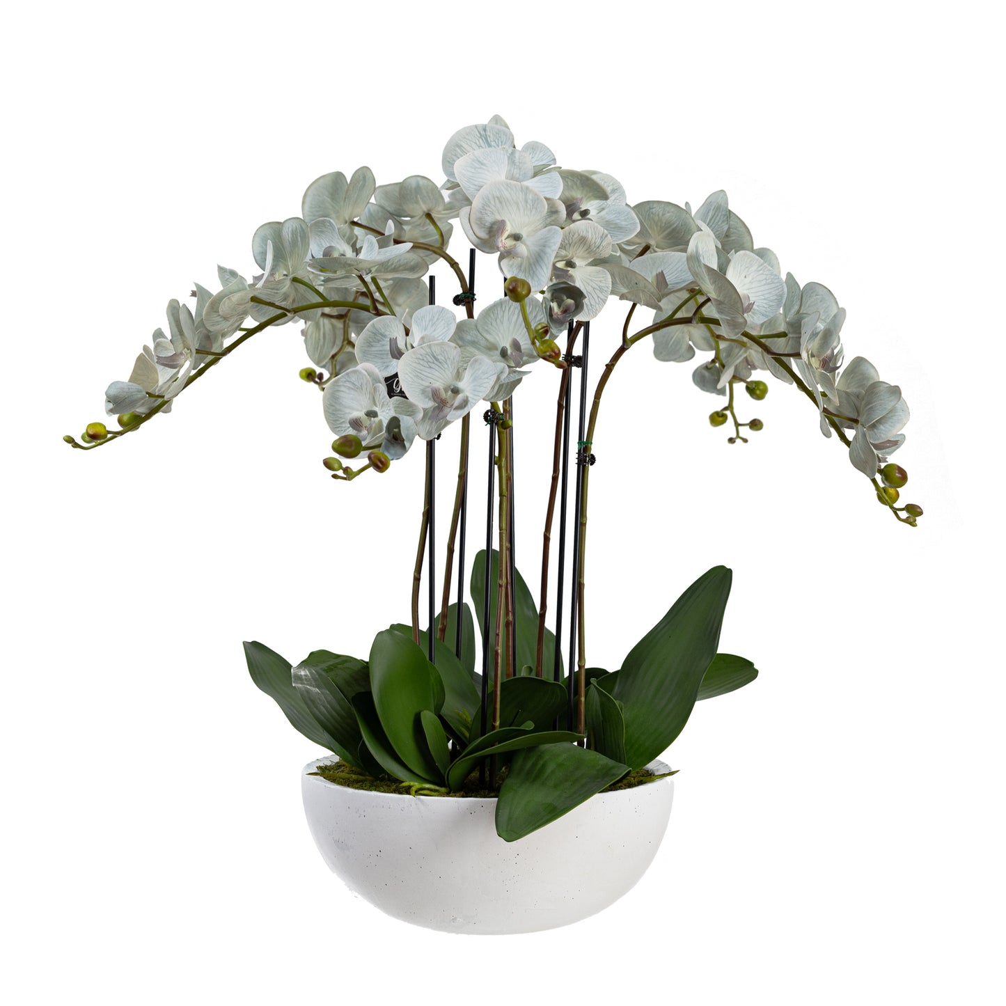 90cm Artificial Phalaenopsis Orchid in White Pot Grey