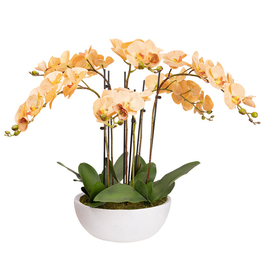 90cm Artificial Phalaenopsis Orchid in White Pot Toffee