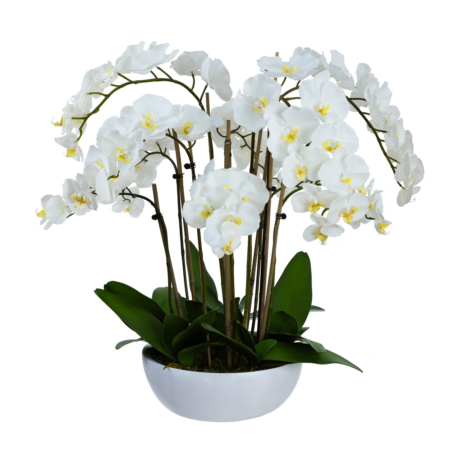 80cm Artificial Grand Orchid in Pot Cream