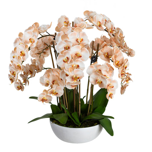 80cm Artificial Grand Orchid in Pot Salmon