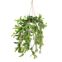 Load image into Gallery viewer, 103CM LAUREL IN HANGING POT
