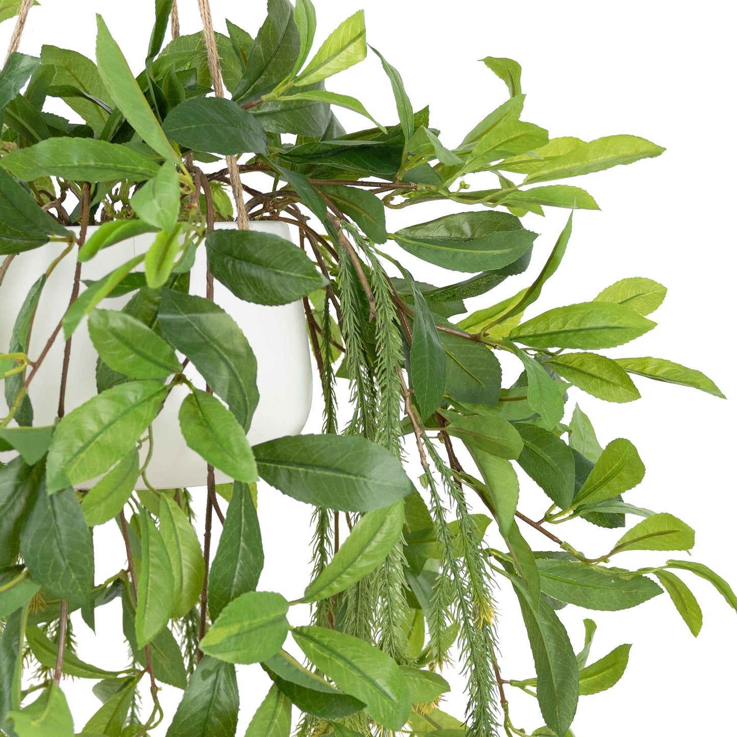 103CM LAUREL IN HANGING POT