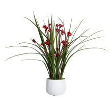 Load image into Gallery viewer, 58CM KANGAROO PAW IN POT
