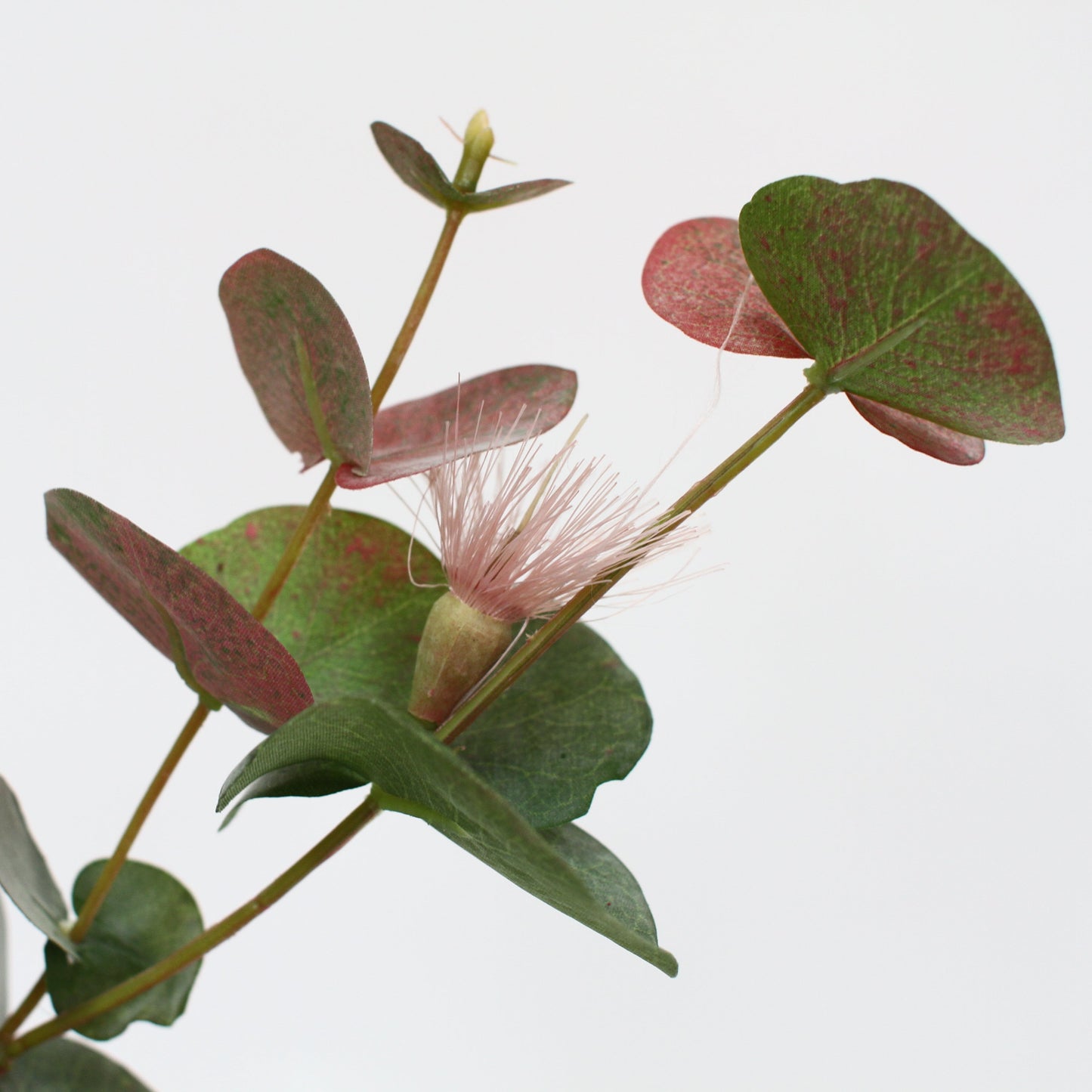 Round Flowers Gum Spray
