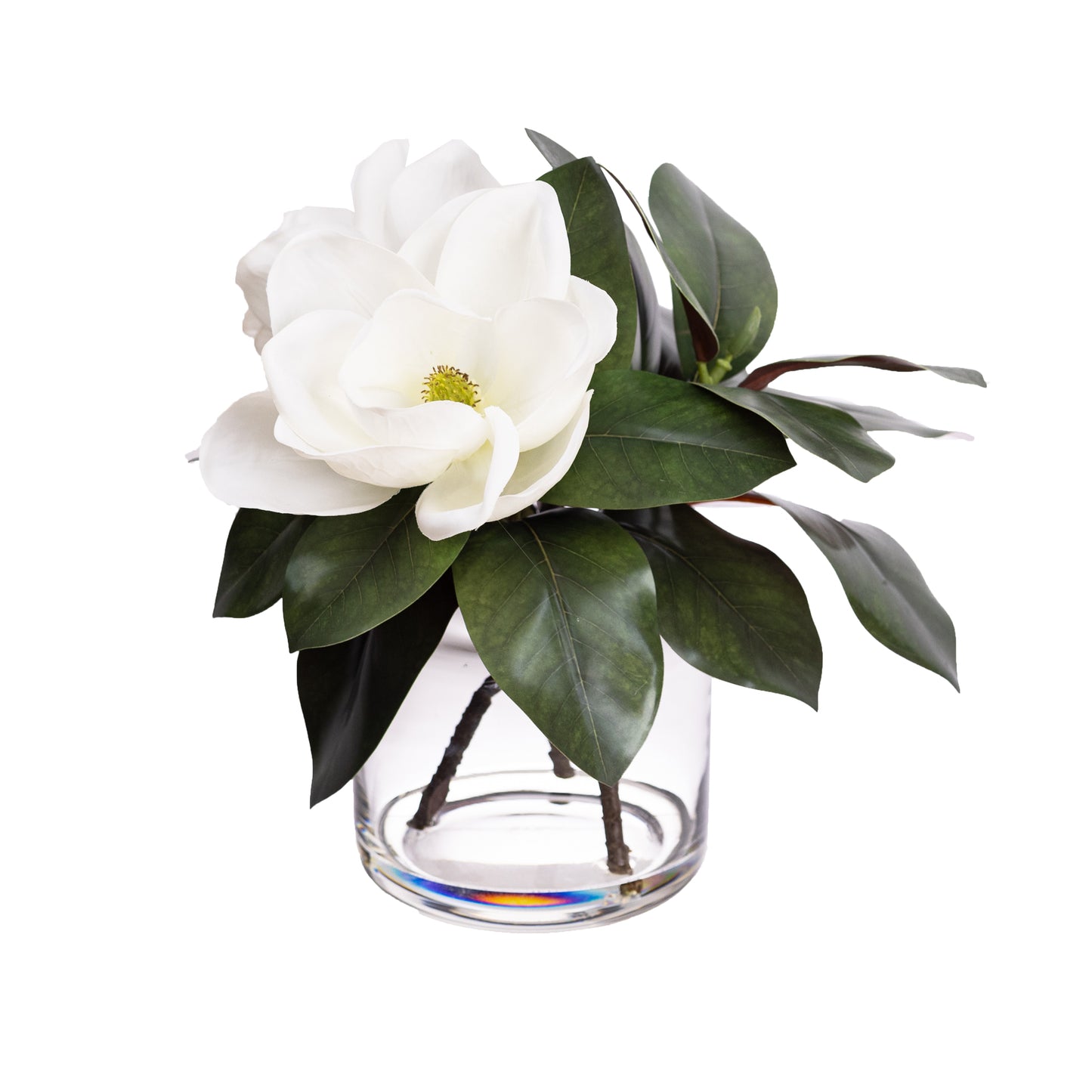 Magnolia Arrangement in Glass 40cm