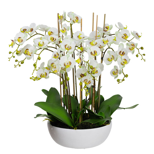 75cm Artificial Orchid in White Bowl Apple Green