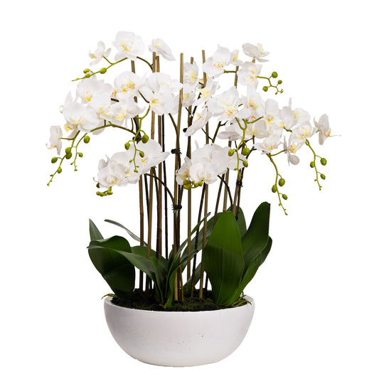 75cm Artificial Orchid in White Bowl White