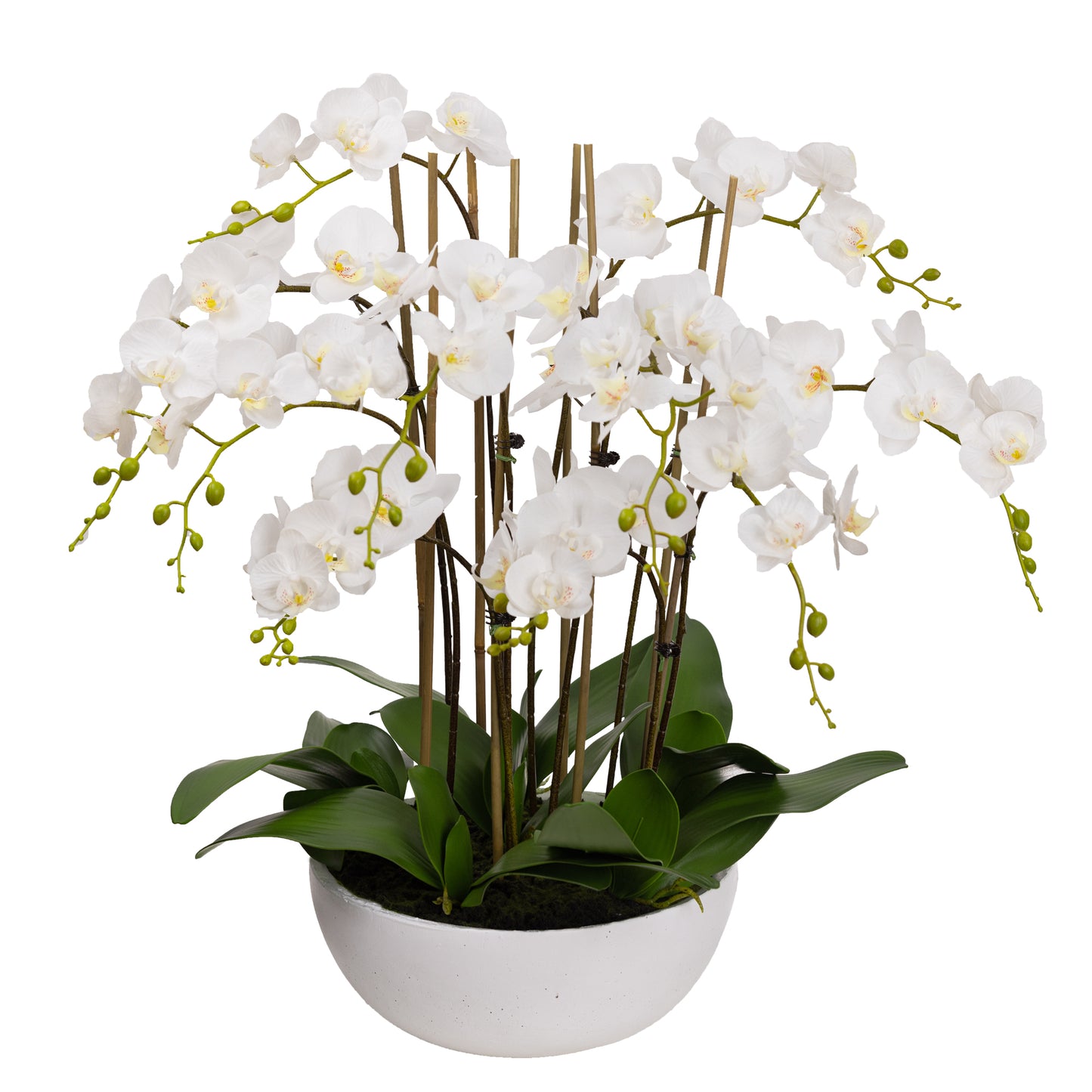 75cm Artificial Orchid in White Bowl White